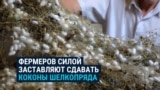 В Узбекистане фермеров принуждают сдавать государству коконы тутового шелкопряда 